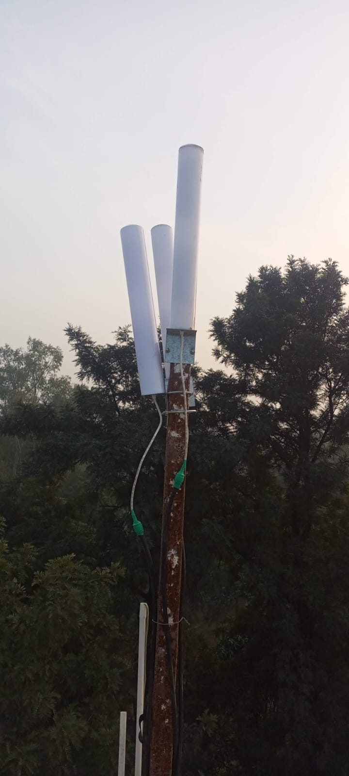 WhatsApp Image 2025-07-23 at 10.59.17